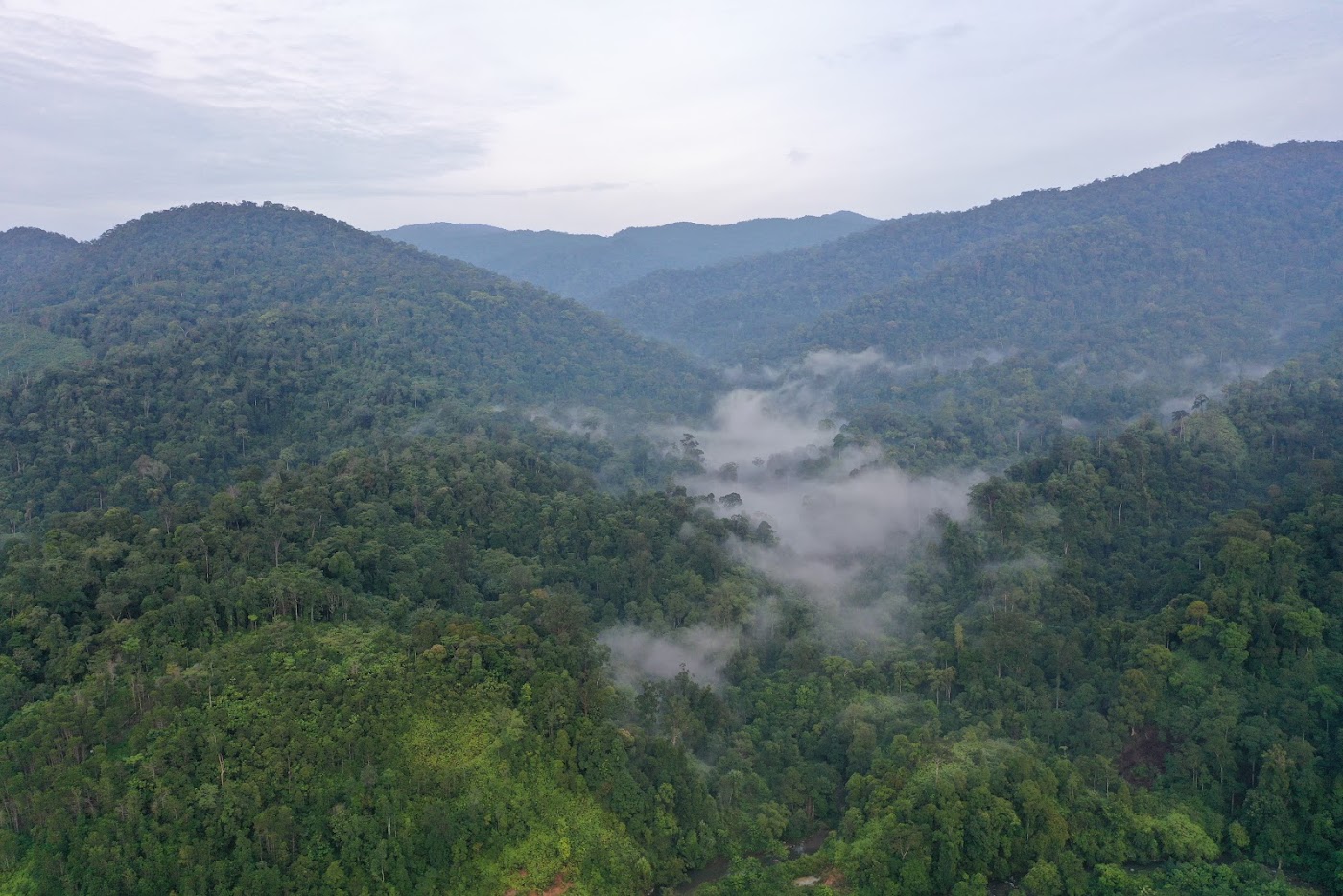 Dokumentasi LPHG Bunin foto 124