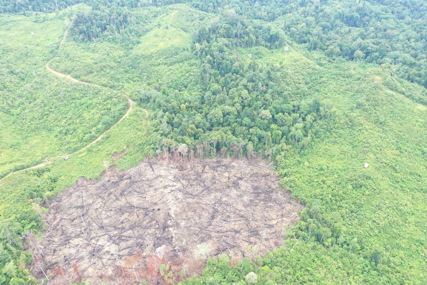 Dokumentasi LPHG Bunin foto 321